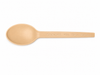 Compostable Spoon